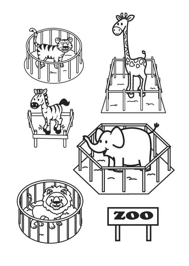 imagens de animais do zoologico para colorir