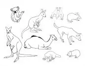 imagens de animais mamiferos para pintar