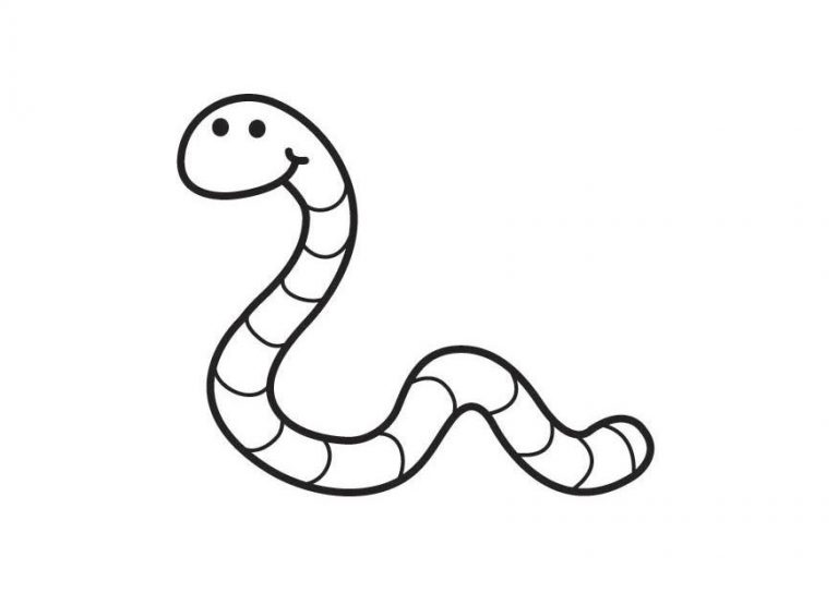 Imagens de animais que rastejam para colorir