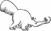 tamandua para colorir